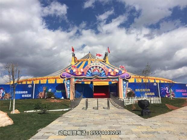 廣東省佛山誠信互利當(dāng)?shù)啬某鲎怦R戲團(tuán)表演