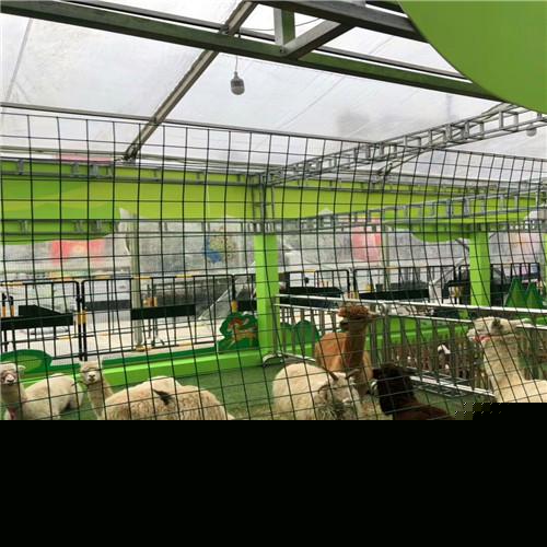 德州本地有馬戲團(tuán)表演出租的真誠(chéng)為您服務(wù)