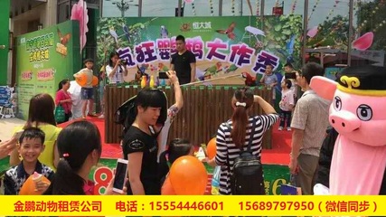 哪有呆萌馬戲團表演出租赤壁市_山東金鵬動物租賃 - 商國互聯網
