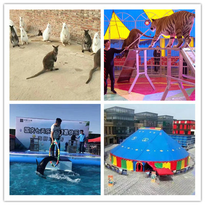 瓊海出租雜技馬戲團(tuán)表演節(jié)目類(lèi)型多