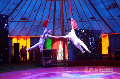 馬戲團(tuán)表演的電話(huà)