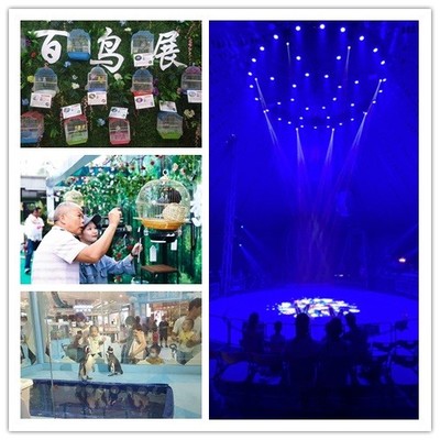 湖北棗陽市雜技表演出租馬戲團萌寵