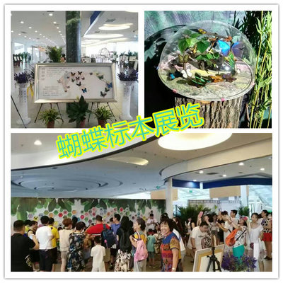 對(duì)外出租馬戲團(tuán)雜技演出 全國(guó)供應(yīng)_設(shè)備租售_演藝吧_中華演出網(wǎng)