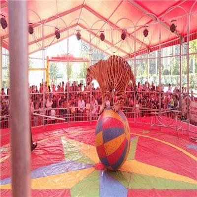 環(huán)球飛車表演出租一手資源三天多少錢(qián)郊區(qū)