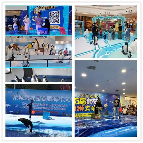 平?jīng)鍪旭R戲團表演動物租賃形式豐富