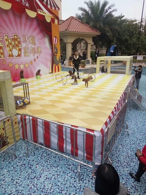 馬戲團(tuán)活動(dòng)主題 出租馬戲團(tuán)