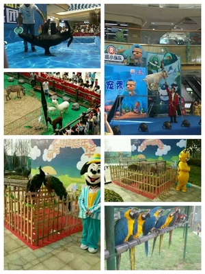 馬戲團動物表演出租