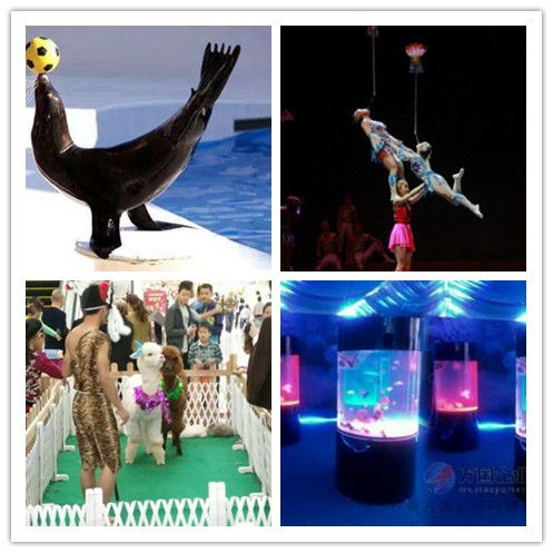 海門馬戲團百鳥園展覽出租價格明細