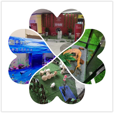 海獅表演出租現有檔期出租海獅表演的豐富多彩2022【今日熱點事件】