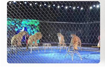 馬戲團(tuán)柔性防護(hù)網(wǎng) 馬戲團(tuán)安全圍欄網(wǎng)工廠定制