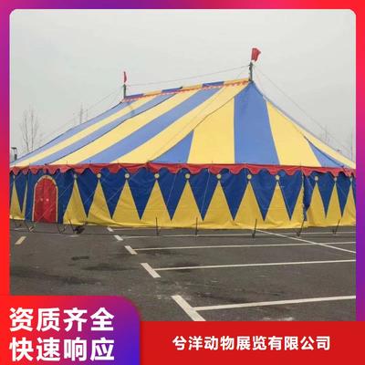 馬戲團(tuán)/羊駝【海獅表演出租】實(shí)力公司