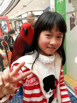 出租馬戲團(tuán)表演哪里有新聞HT租賃圈資訊通遼