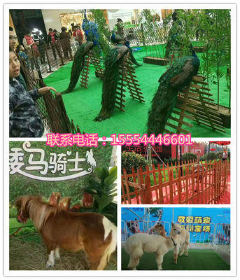 附近哪有馬戲團(tuán)表演出租都勻市人員雜技租賃