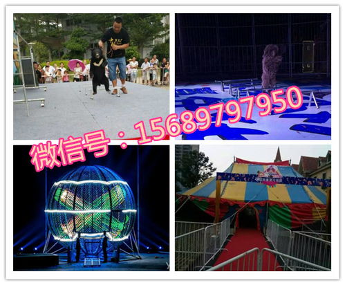 專(zhuān)業(yè)呆萌馬戲團(tuán)表演出租租賃十堰市