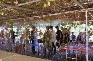 北京庫房租賃與馬戲團(tuán)表演合作 一站式資源指南